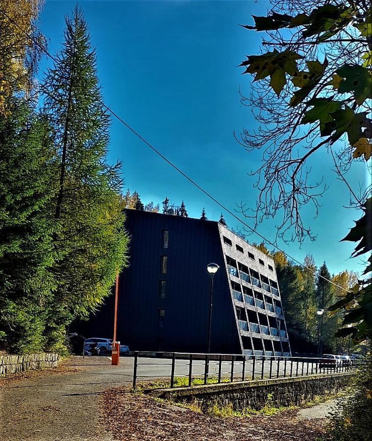 Apartman Na Kraji Lesa Janov nad Nisou Exterior foto